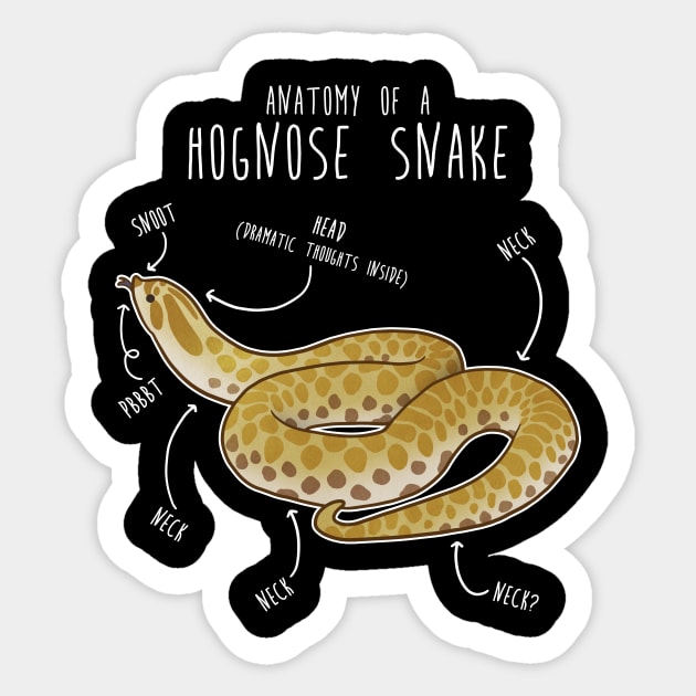 Lemon Hypo Ghost Hognose Snake Anatomy Sticker by Psitta